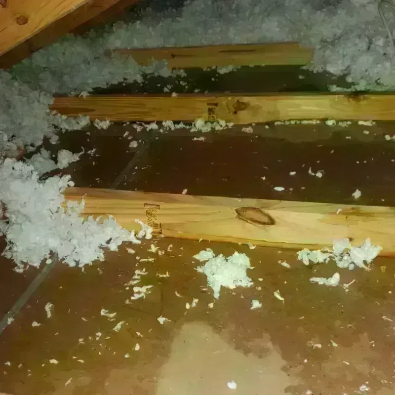 Attic Water Damage in Harnett County, NC