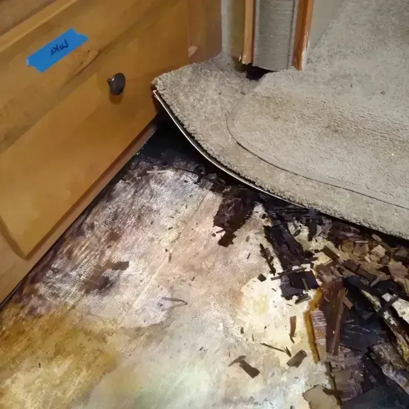 Best Wood Floor Water Damage Service in Harnett County, NC